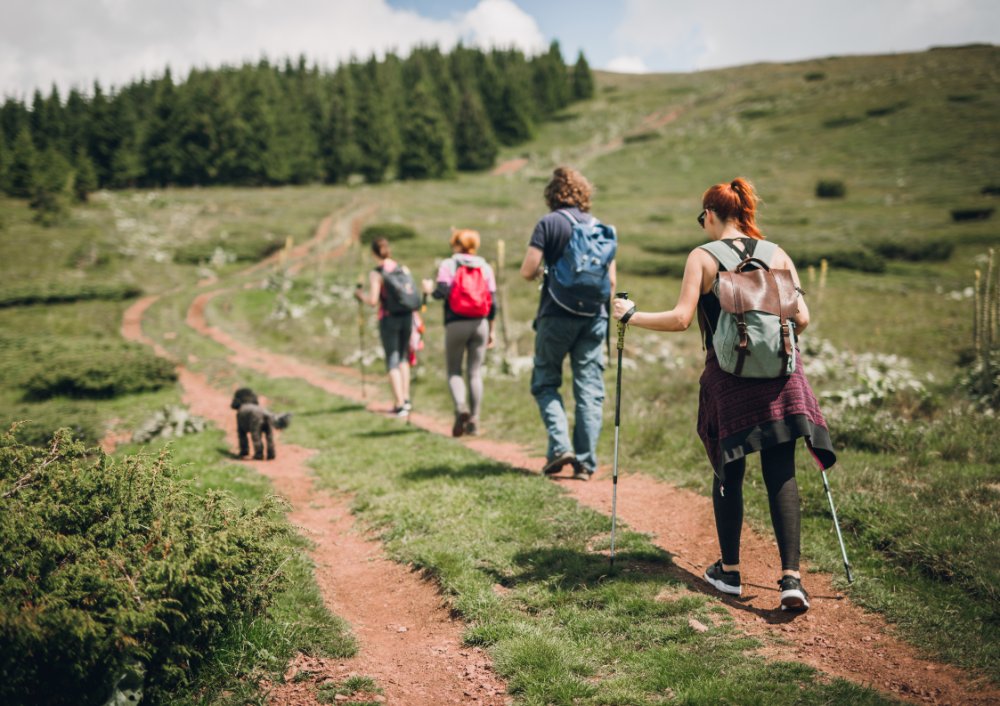 Impro for Life - Expedition: Impro